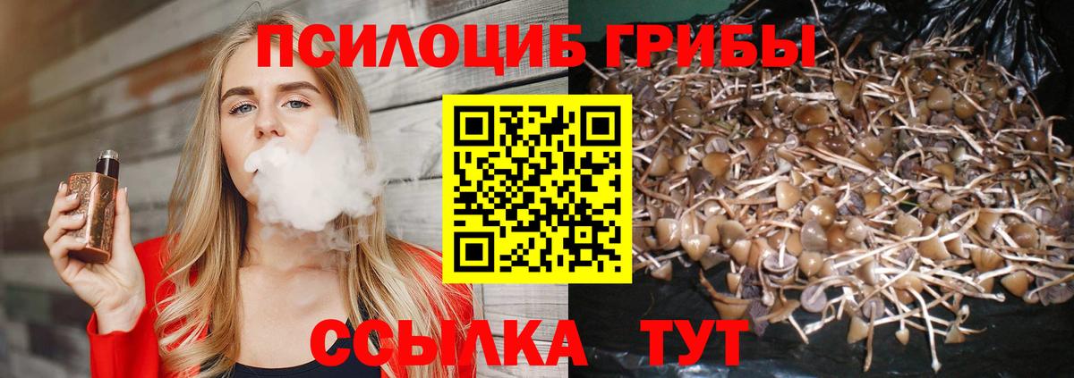 Псилоцибиновые грибы ЛСД  Псилоцибиновые грибы Cubensis  Верхняя Салда  Вход с VPN 