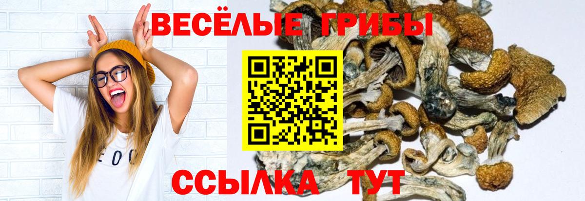 Лсд 25 Верхняя Салда