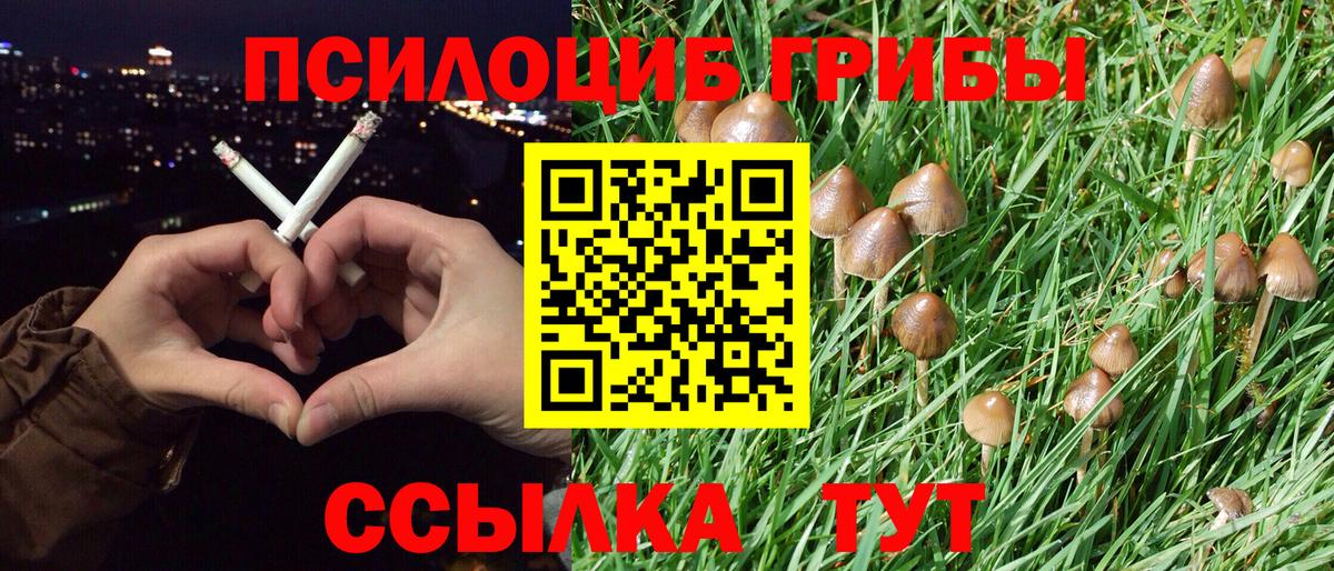 Галлюциногенные грибы мухоморы Верхняя Салда